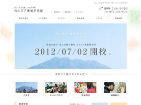 山月桂美术研究所网站的缩略图