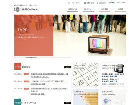 共同宣传精美网页欣赏