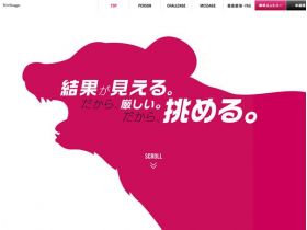 三阶段采用的网站网站的缩略图