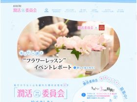 润活（又是）委员会精美网页欣赏