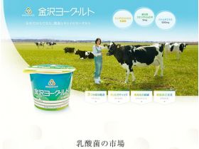 金泽酸奶网站的缩略图