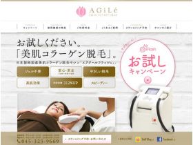 AGILE网站的缩略图