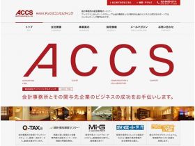 斧咨询网站的缩略图