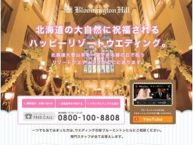 蓝色羽毛球希尔网站的缩略图