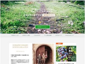 FRA konnex网站的缩略图