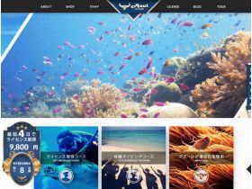 天青梅田精美网页欣赏