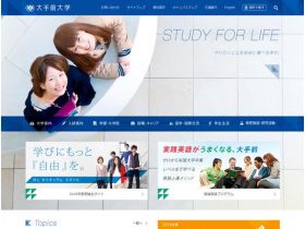 大型前大学网站的缩略图