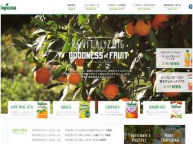 康纳精美网页欣赏