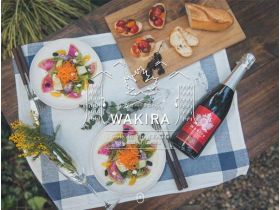 WAKIRA精美网页欣赏