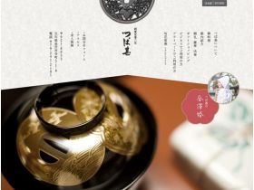 吐沫网站的缩略图