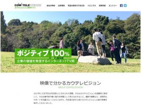 丹麦电视采用网站网站的缩略图