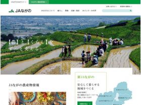 JA的精美网页欣赏