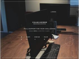 代代综合法律事务所精美网页欣赏