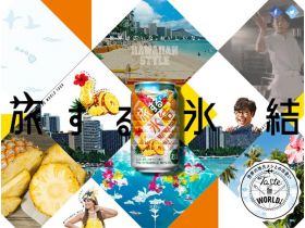 旅行的冰冻网站的缩略图