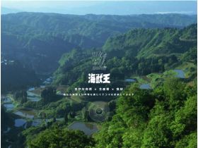 海兽王网站的缩略图