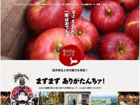 きたかみ选择网站的缩略图