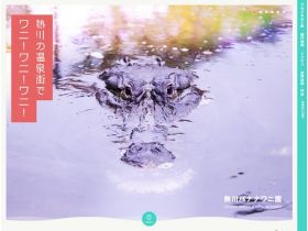 热河香蕉鳄鱼园网站的缩略图