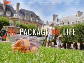 股份有限公司网站的缩略图