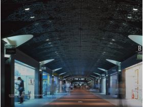 布里斯工作室网站的缩略图