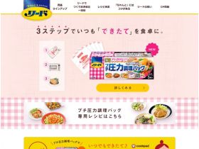 领先网站的缩略图