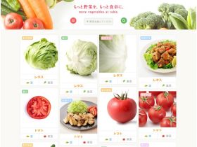 再多吃点蔬菜。再放在餐桌上。网站的缩略图