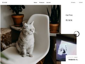 RINN网站的缩略图