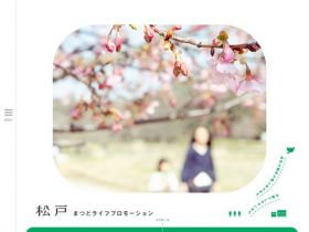 生活宣传精美网页欣赏