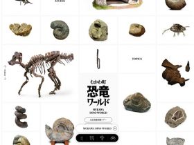 Muka町恐龙世界【官方网站】网站的缩略图