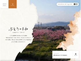 葡萄籽网站的缩略图