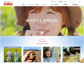 卡比株式会社精美网页欣赏