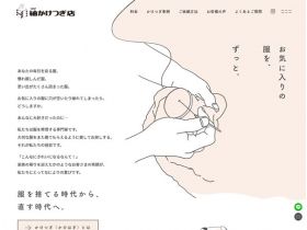 绸缎店网站的缩略图