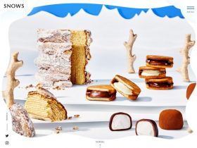 SNOWS＜雪＞网站的缩略图