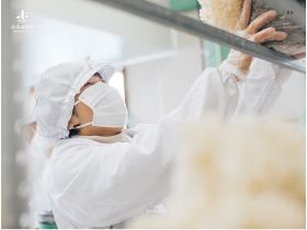 霍霍霍霍塔克网站的缩略图