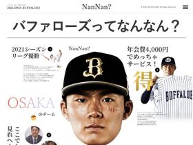 什么是蔷薇？网站的缩略图