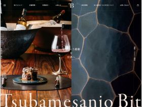 Tsubamesanjo Bit精美网页欣赏