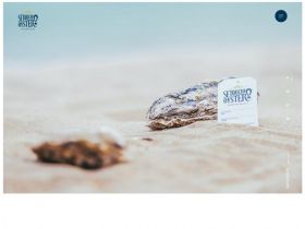 SETOUCHI OYSTER网站的缩略图