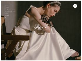 Feel网站的缩略图