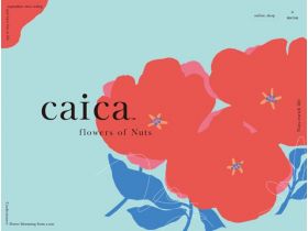 caica caica网站的缩略图