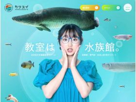 水獭&动物学校网站的缩略图