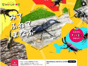 甲壳虫乐园网站的缩略图