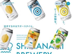 官方品牌网站网站的缩略图