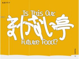 国内自给伙食亭-Is this our future food？网站的缩略图