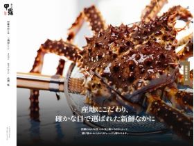 甲壳总店网站的缩略图