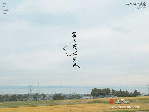 农产品网站的首页截图