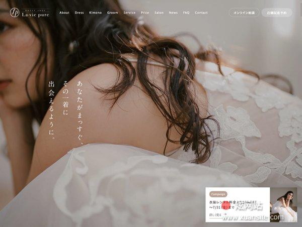 拉维普尔网站的首页截图